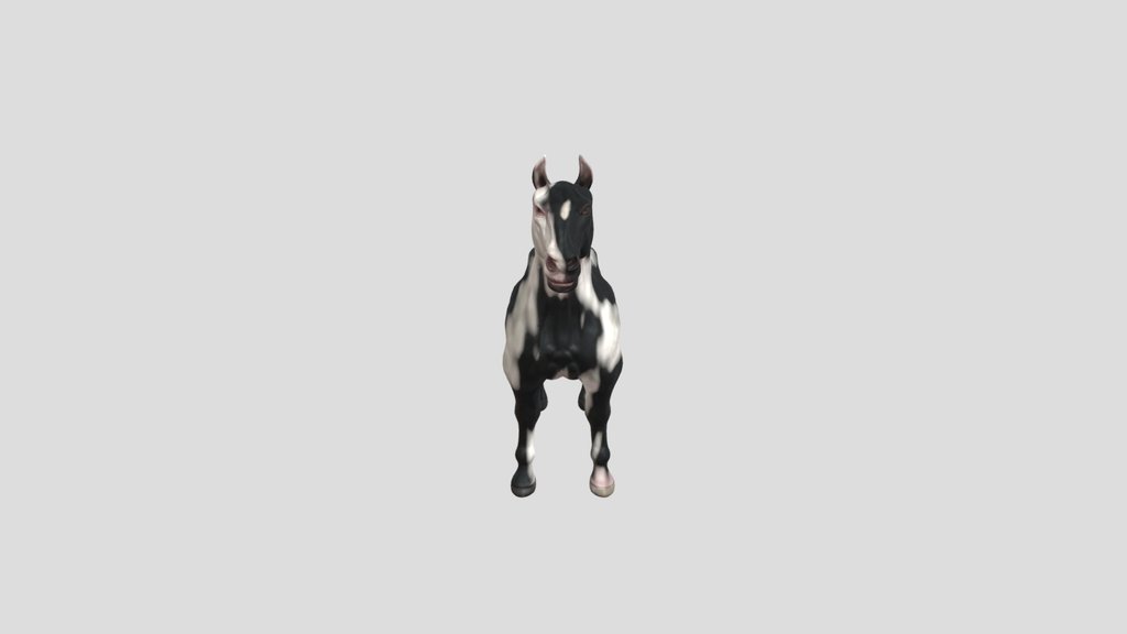 Draft Horse Tinker Gypsy Vanner Breed
