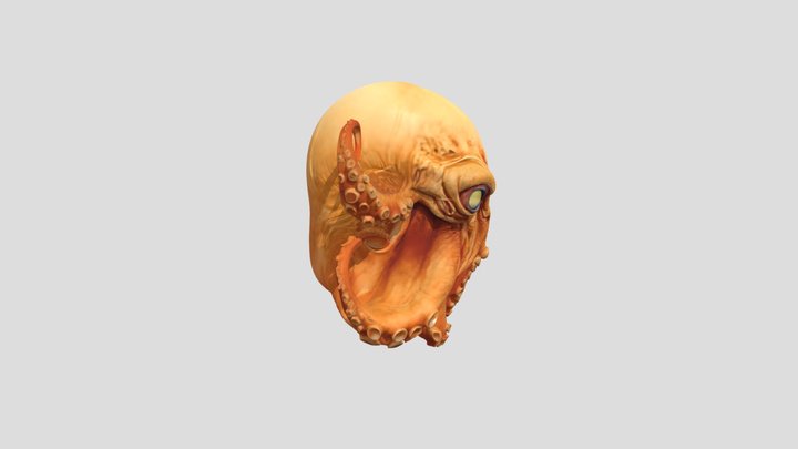 Octopus Creature 3d Model