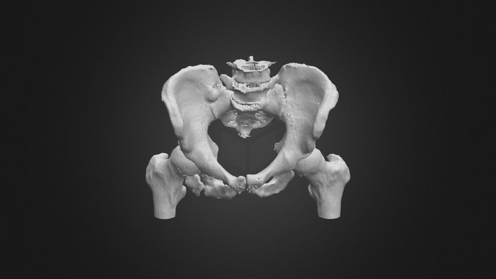 T Z 2018.08.21. 3D Model