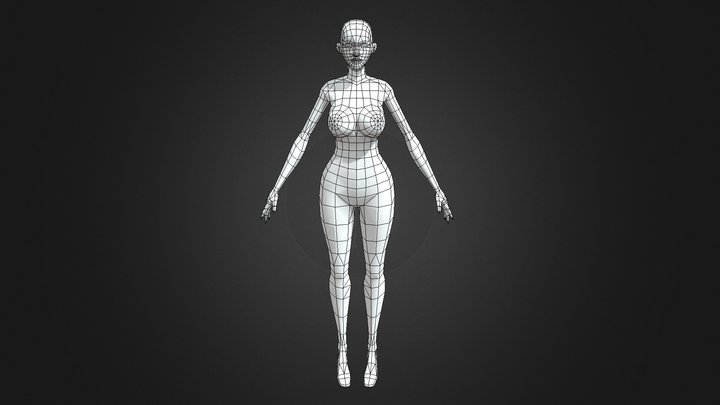 Body 3D Model