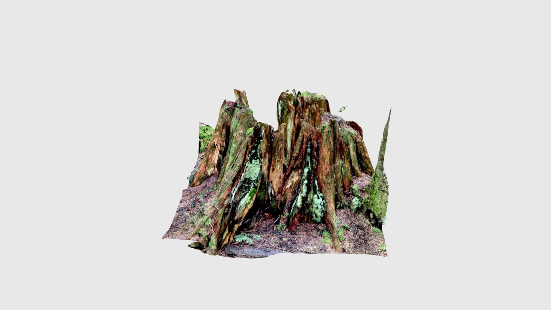 More stump
