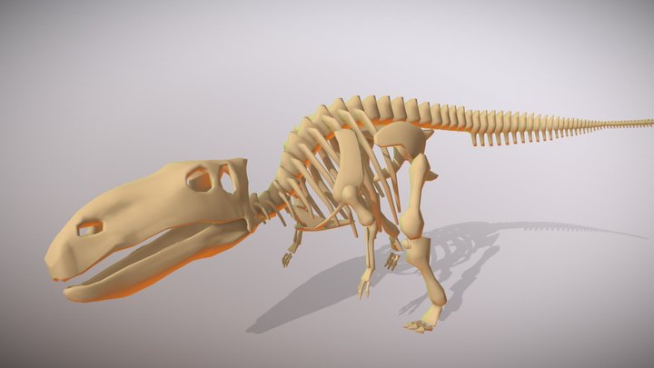 Dinosaur Skeleton (Toon) 3D Model