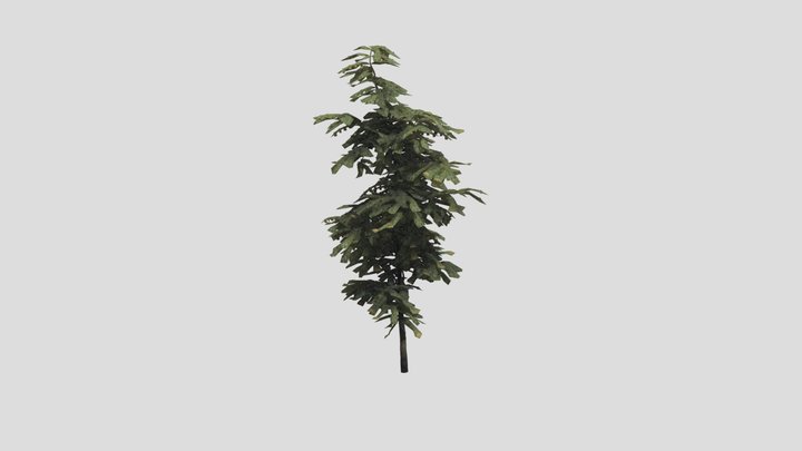 Tree Cherry A1 Large – Modèle 3D gratuit STL