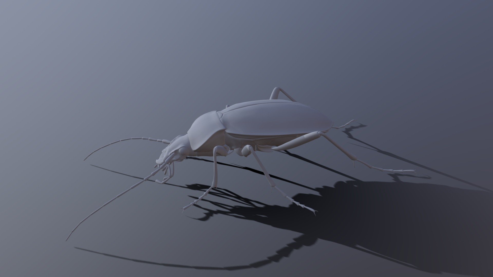 groundBeetle