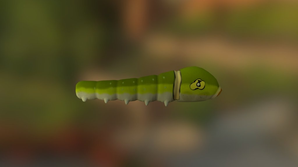 Bug