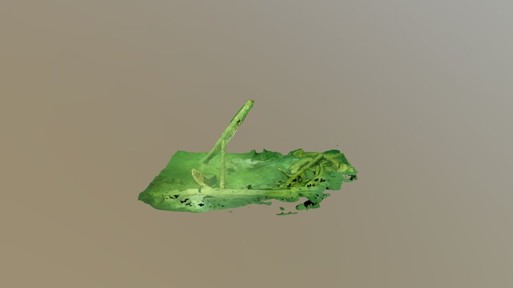 Two anchor from 18th century 3D Model