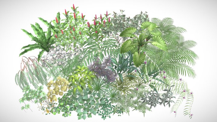 24 Realistic Low-poly Plants Pack (Demo Version) 3D Model