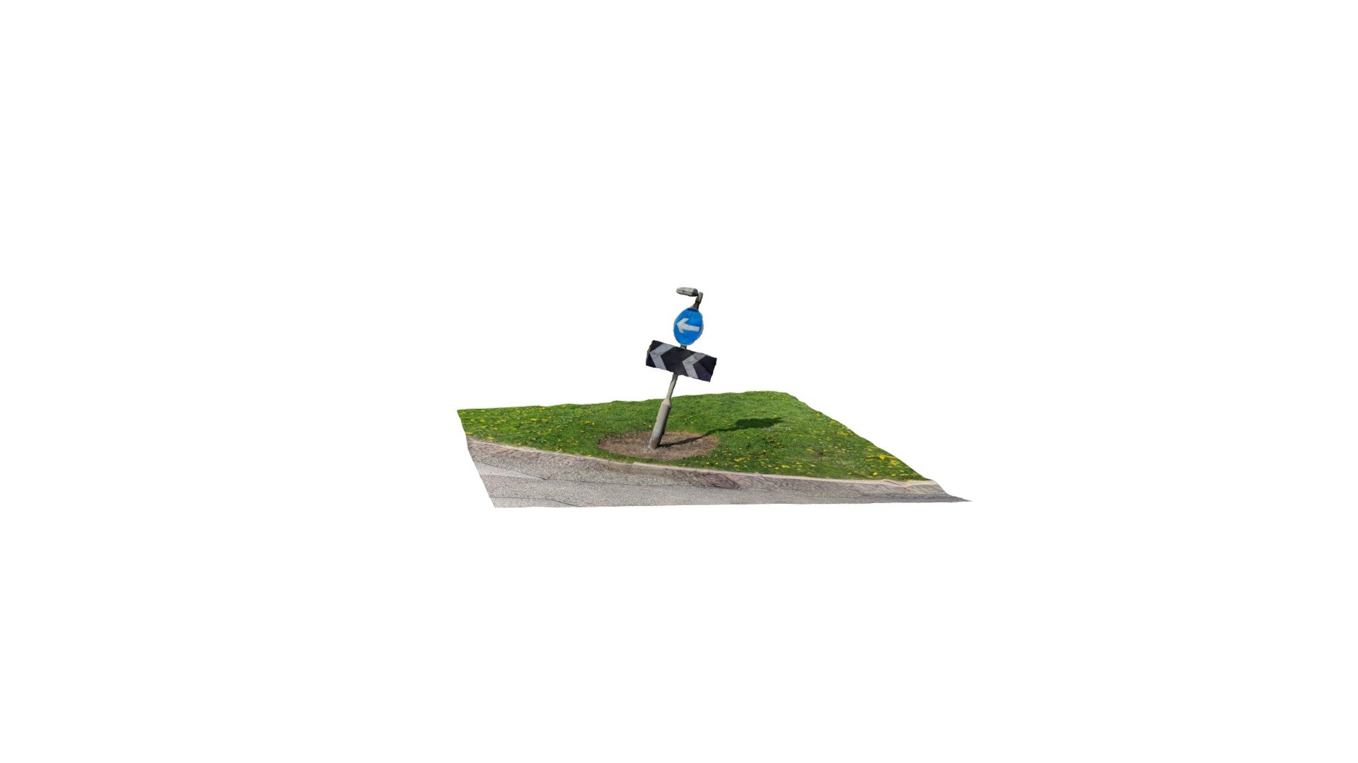 Polycam capture