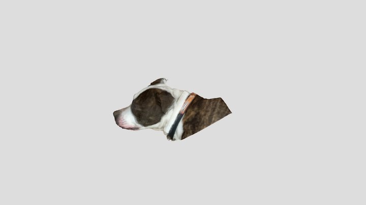 Strdg 3D Model