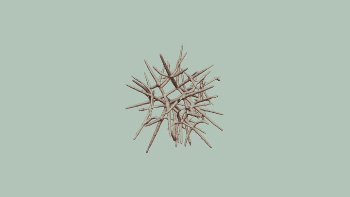 Specimen B BPS 45 3 25percent Smoothed 3D Model