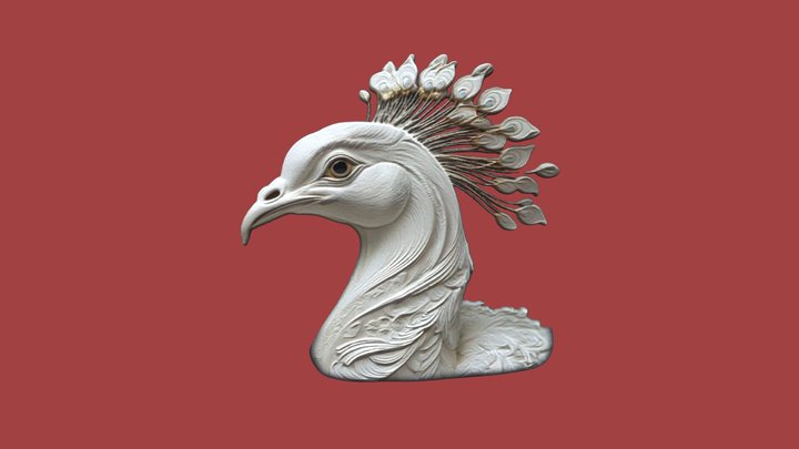 Peacock 002