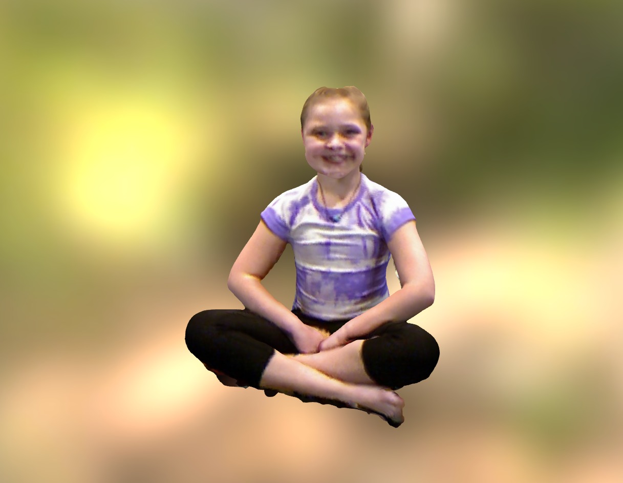 New Skanect Model - 3D model by cstsang [1524226] - Sketchfab
