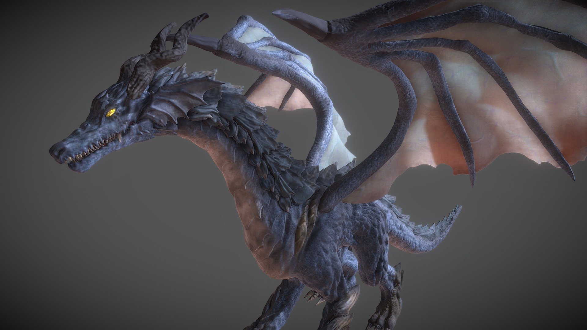 Dargon Sketchf - 3D model by momori68 [15262f1] - Sketchfab