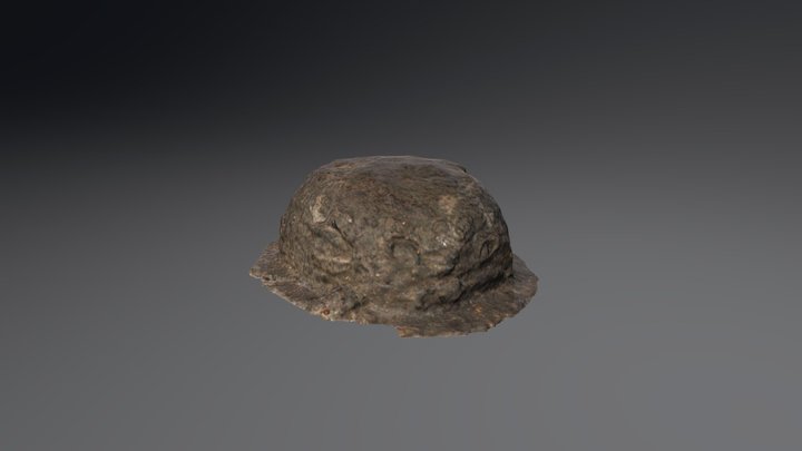 Skoldbuckla 3D Model