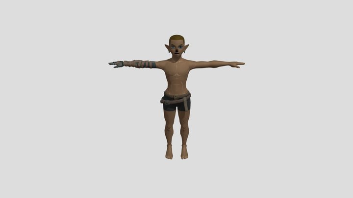 link 3D Model