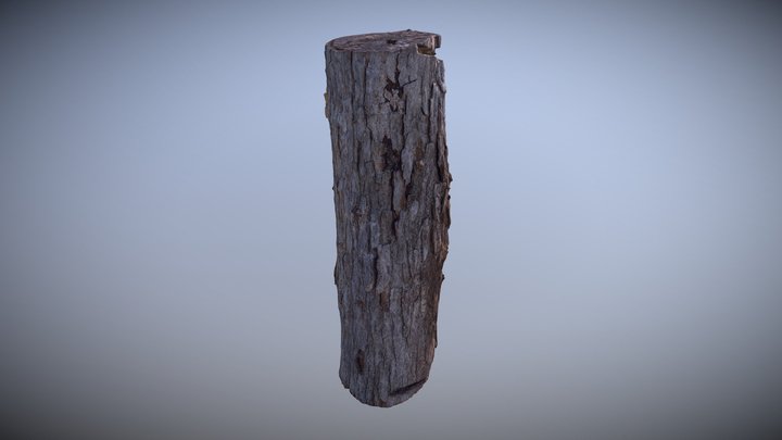 Cross Polarized Log Scan Test 3D Model