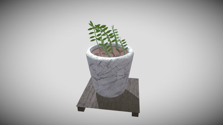 Zamioculcas Zamiifolia 3D Model