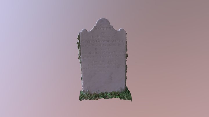 Ensg. Audley Grave 3D Model