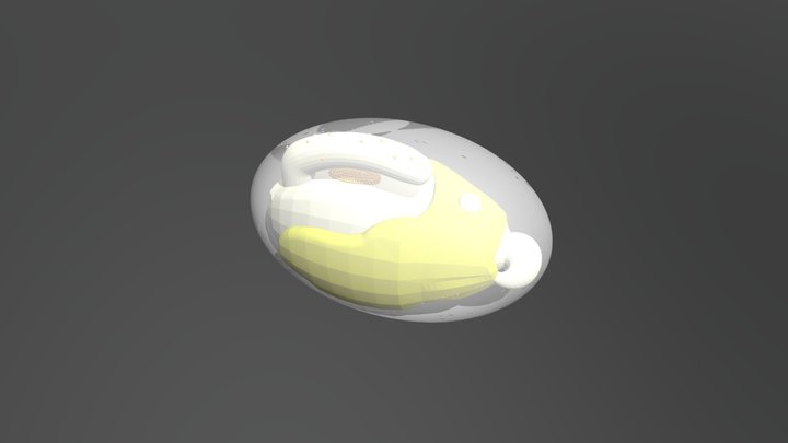 Botryllus3D-18-12 17 3D Model