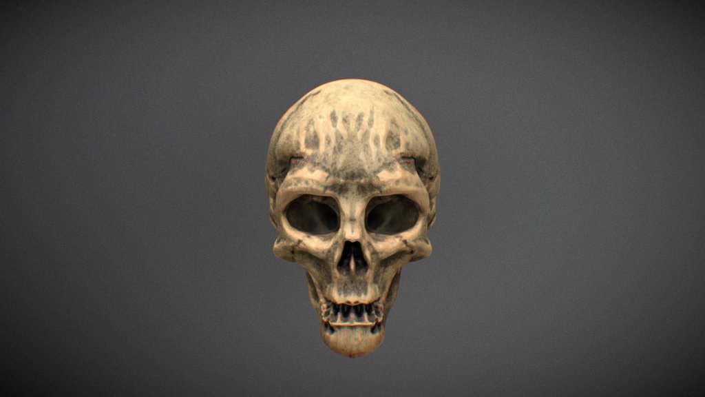 Skull