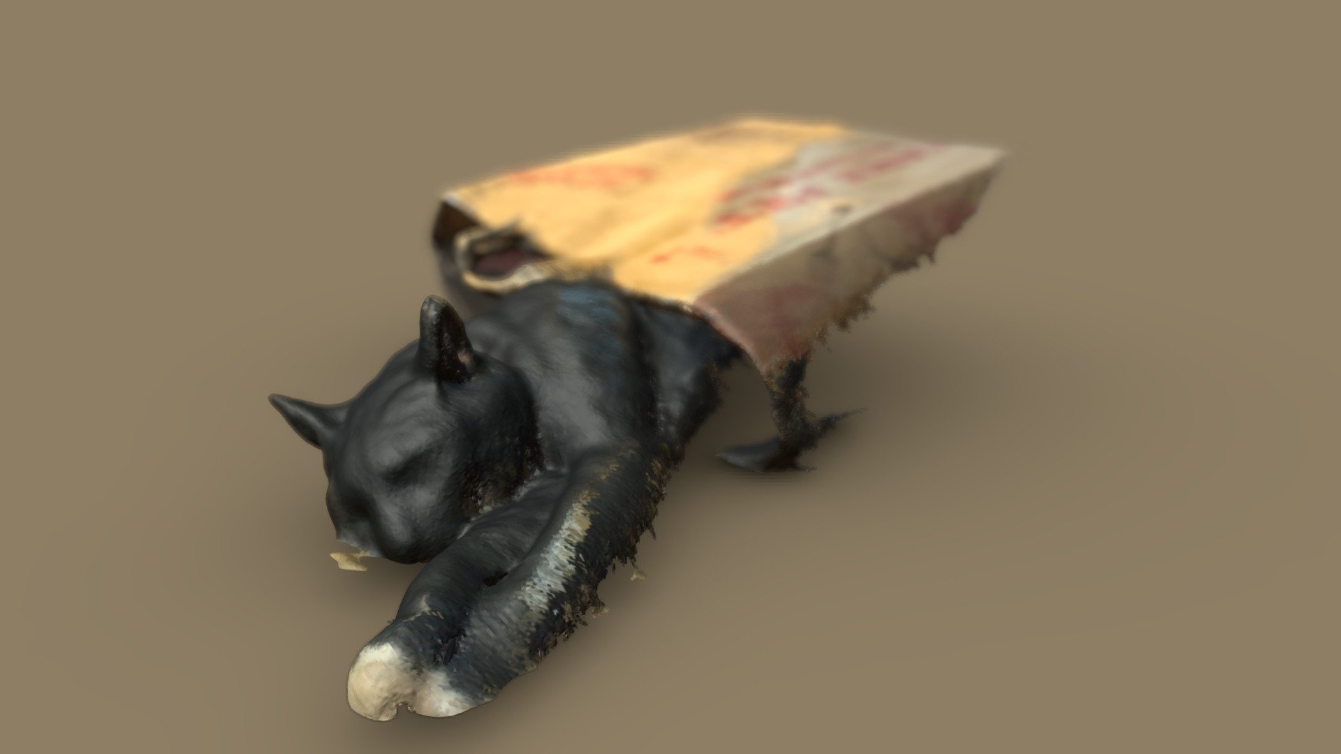 Cat in a Bag