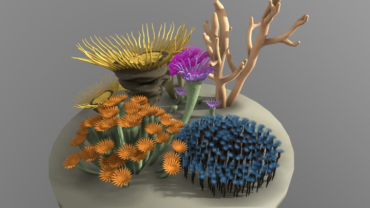 Rugose corals 3D Model