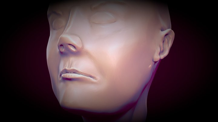 Head of Samara 3D Model