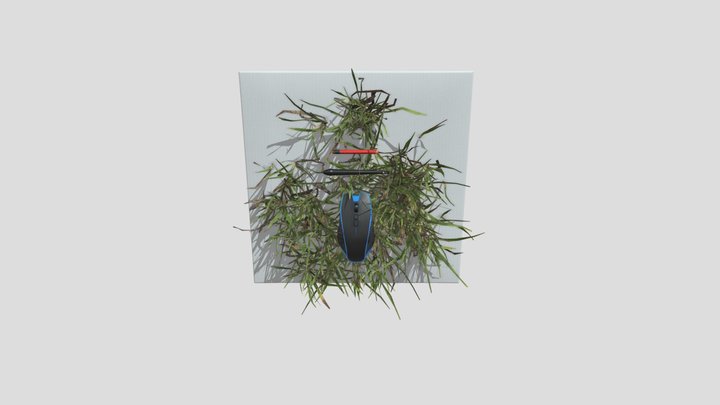 selfP 3D Model