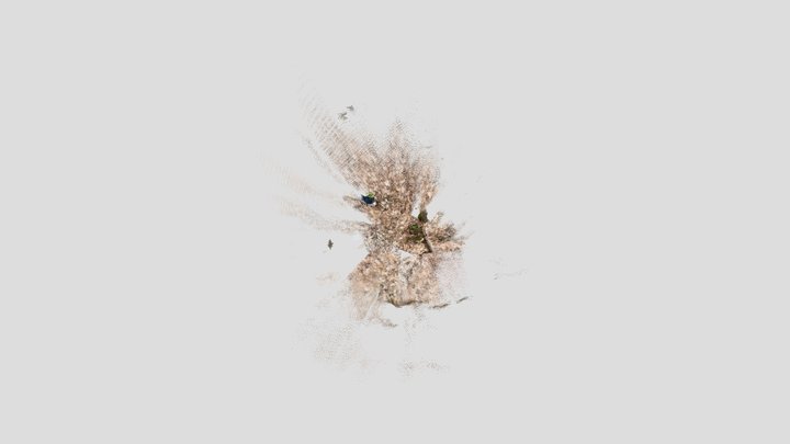 Scan At 13.07 3D Model