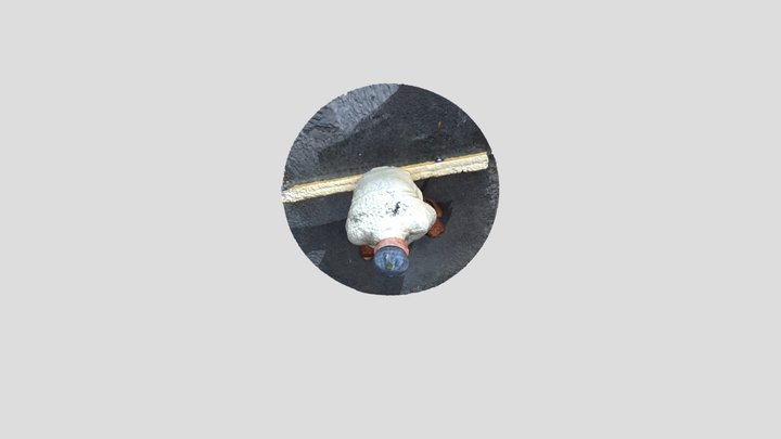Max-20.tesucóc 3D Model