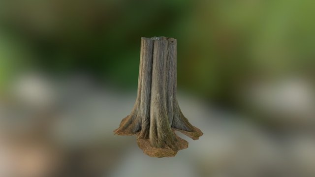 Red Cedar Trunk 3D Model