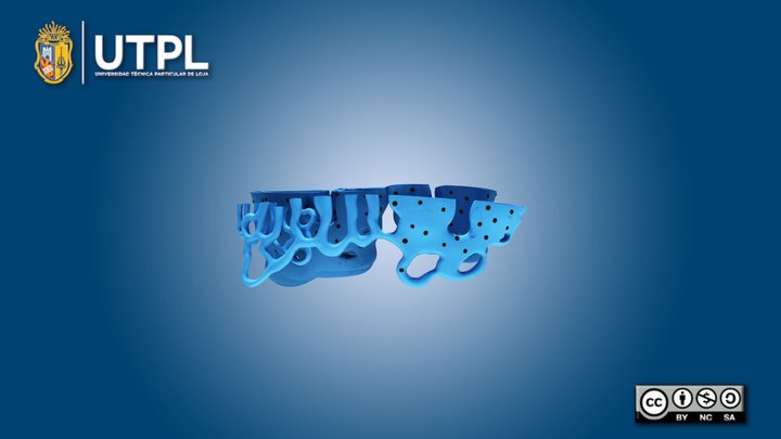 Retículo endoplasmático – Modello 3D gratuito STL