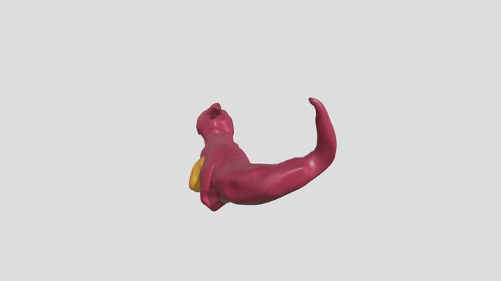 fire chameleon – Kostenloses 3D-Modell STL