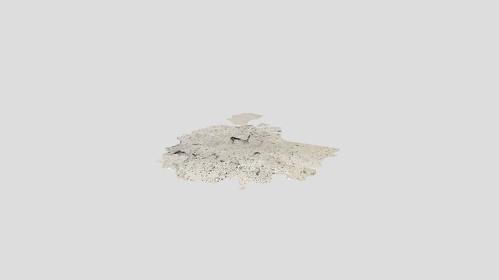 Weathering with ... 3D Model