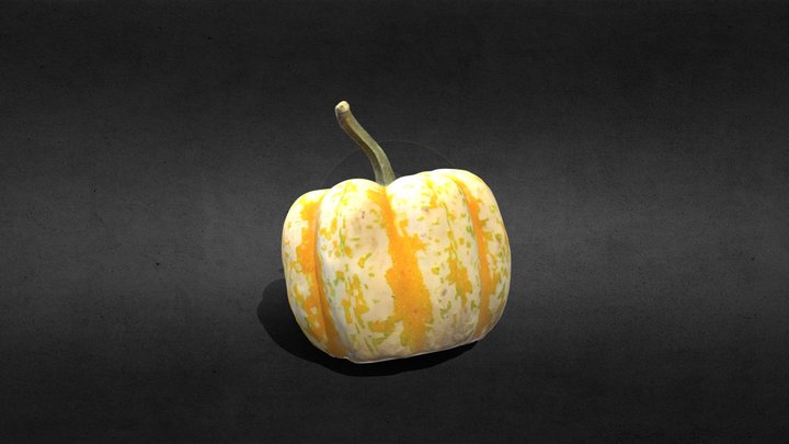 Pumpkin 3D Scanning 3D Model