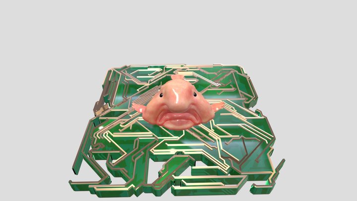 Le Blob Fish 3D Model