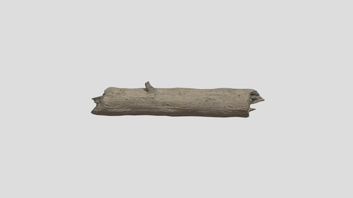 Log 3D Model