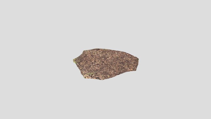 Dirt with 8k texture 3D Model