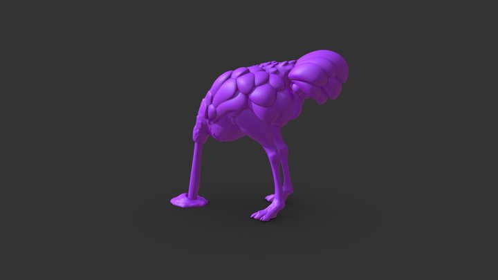 Ostrich-test 3D Model