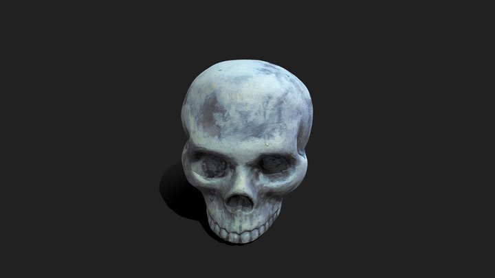 Craneo 3D Model