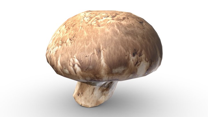 Mushroom (Game Ready / 2K PBR) – Gratis 3D-model STL