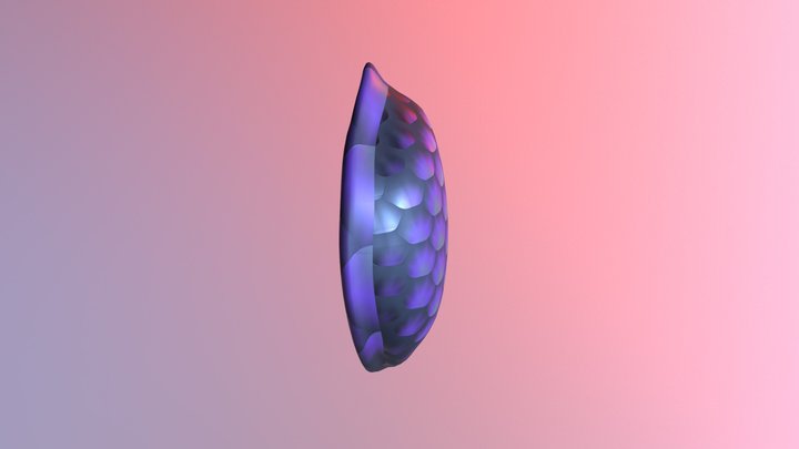 (Shell)  PBR Turtle Shell 3D Model