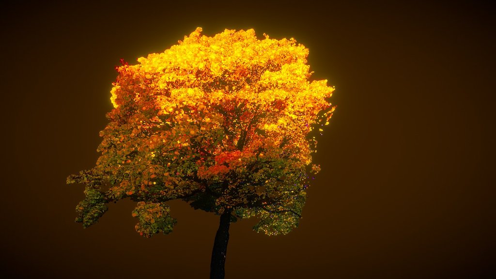 Beautiful Autumn