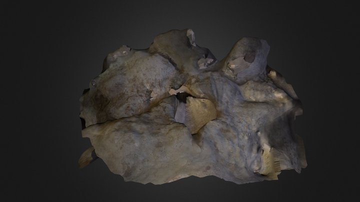 Cave_5 3D Model