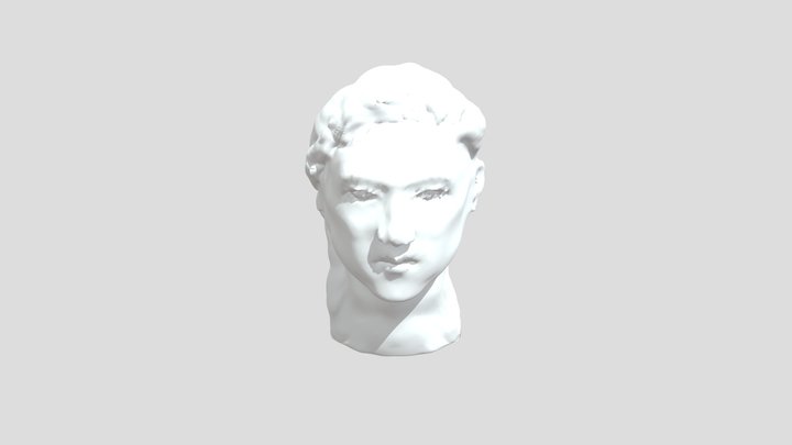 My model 3D Model