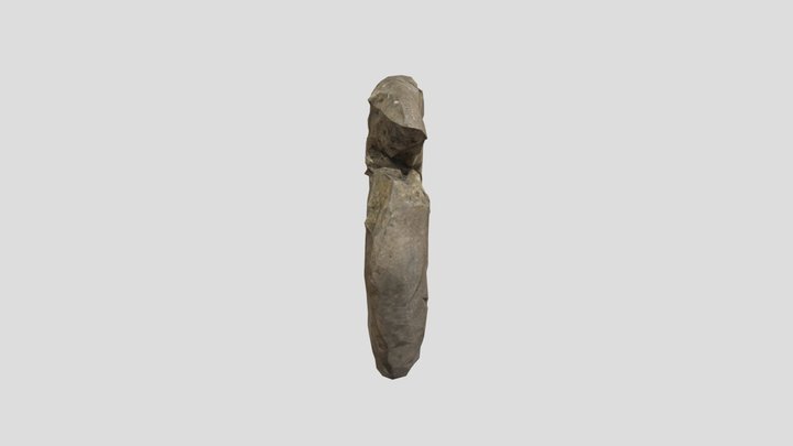 Medallon_ Col 3D Model