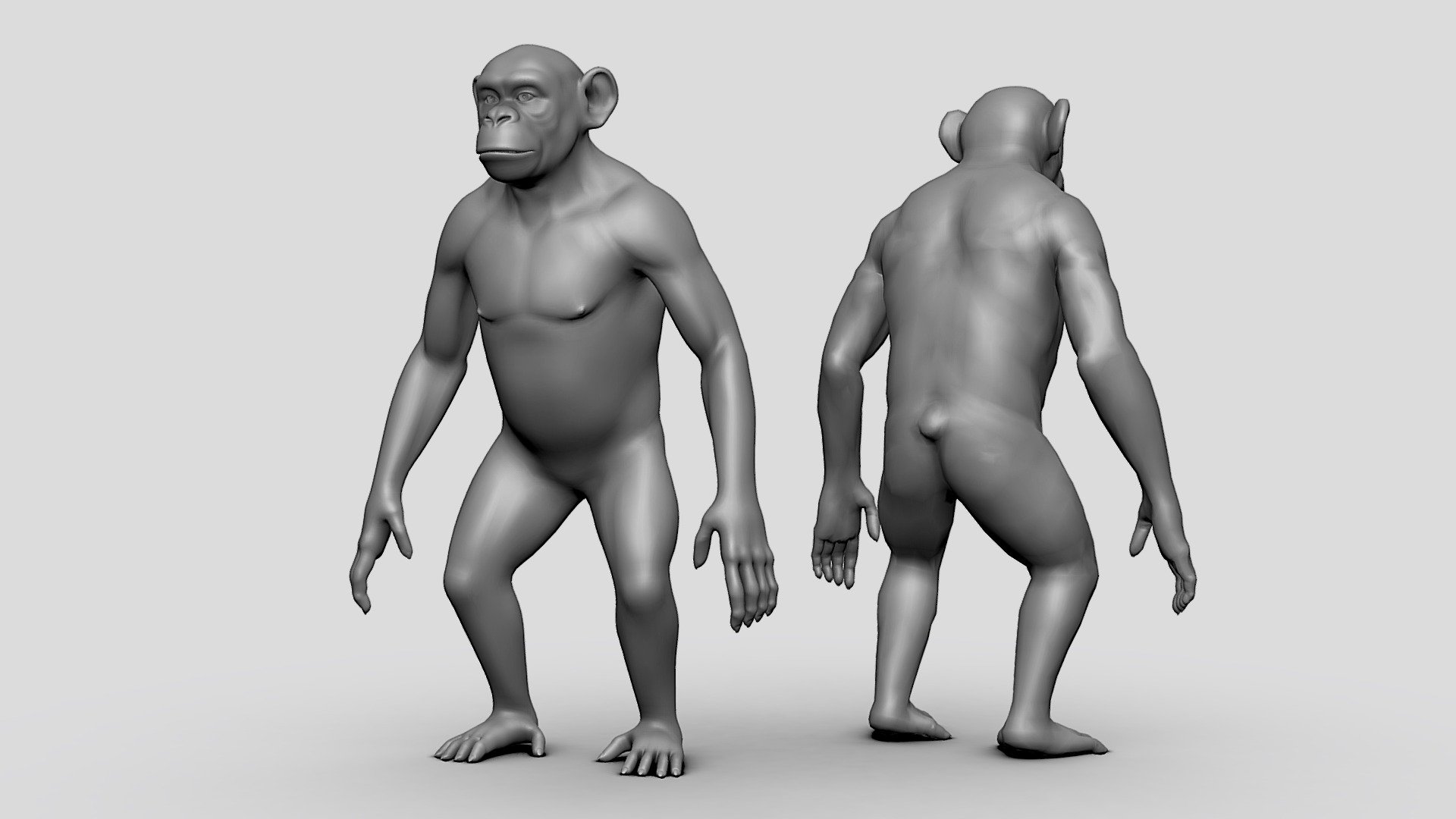 Chimpanzee ( BaseMesh ) - Topology + UV map — Sketchfab embed 3D viewer