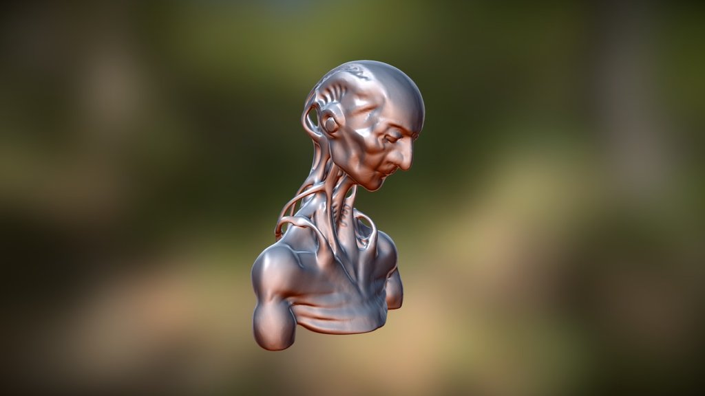 Android - 3D model by Sillytransformer [1566064] - Sketchfab