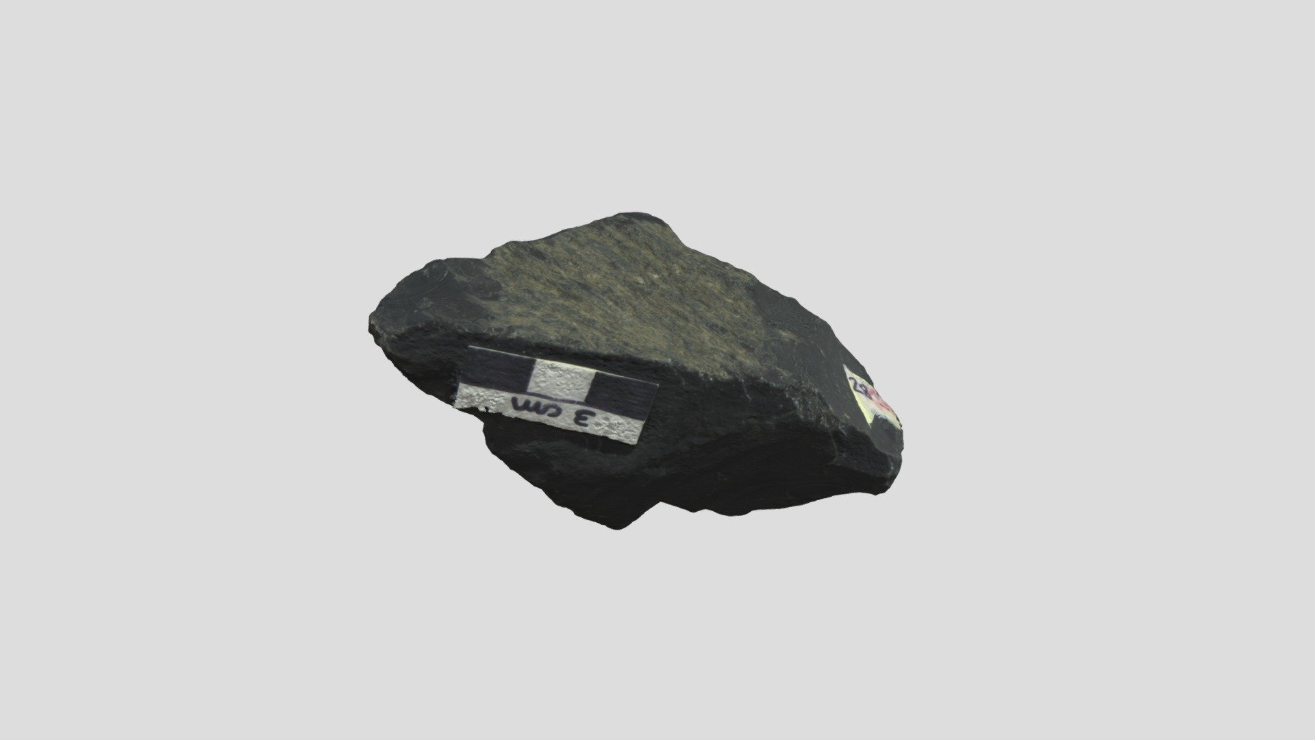 Specimen 003