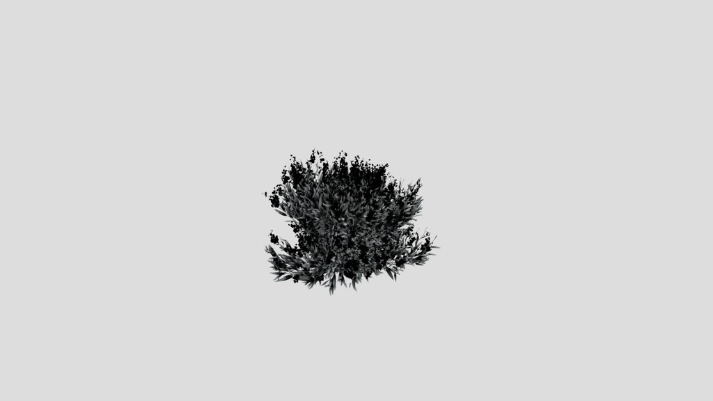 Shurb Caryopteris Bluebeard Animated
